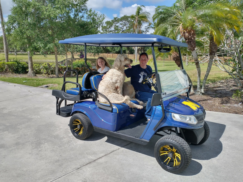 Customized Carts by Wildar Golf Carts & Trailers